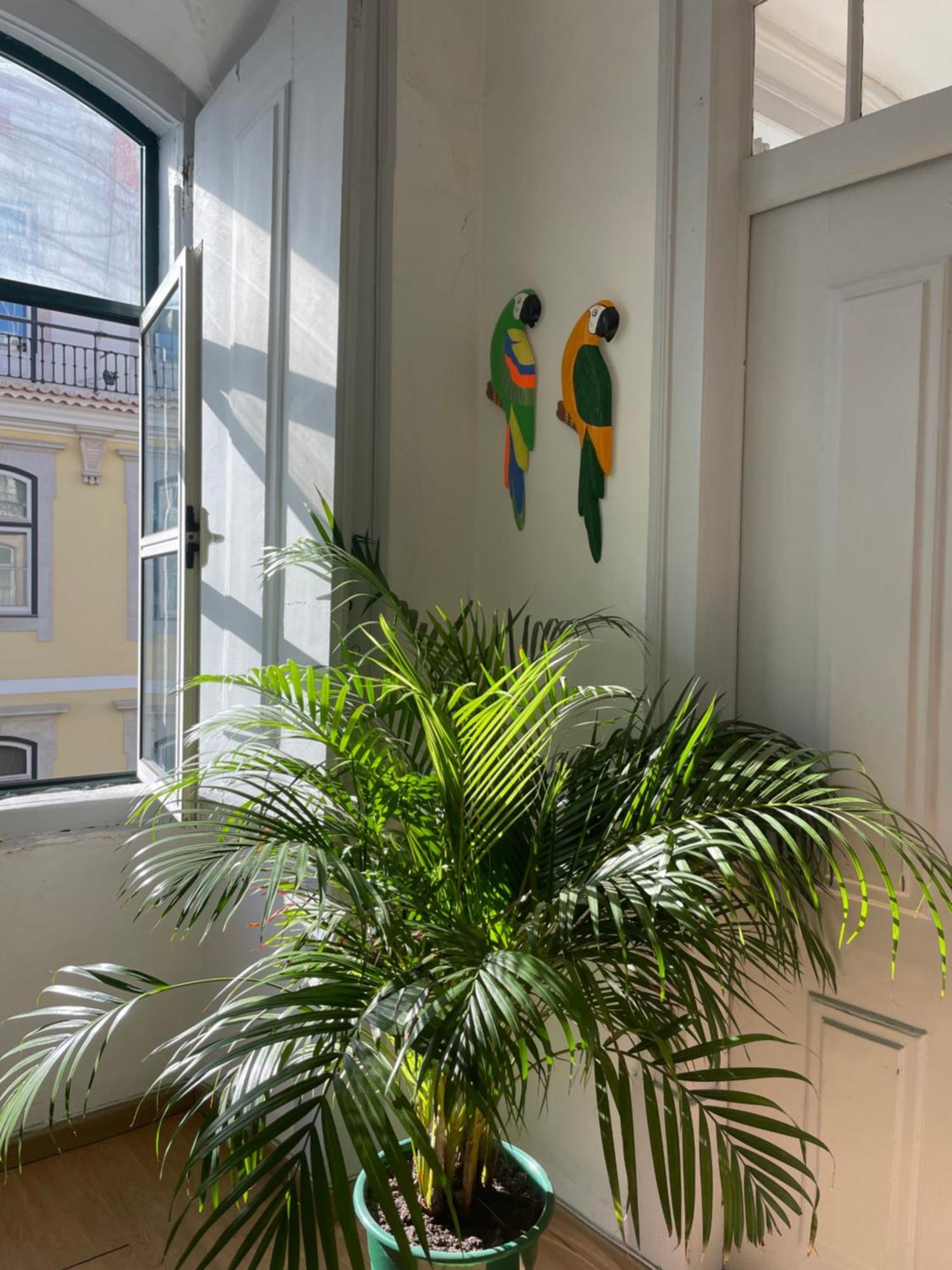 Chiado Home Lisboa Exteriér fotografie